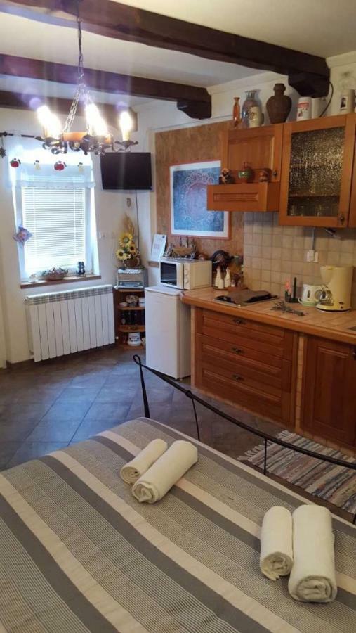 Apartman Ruza 3 Poljane Exterior foto